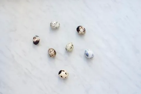Quail eggs in random order on the marble surface Stock Photos