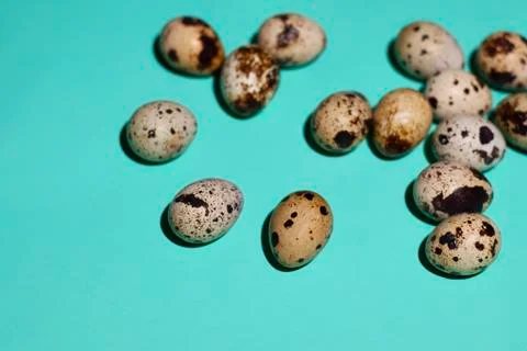 Quail eggs randomly on a gently green background Stock Photos