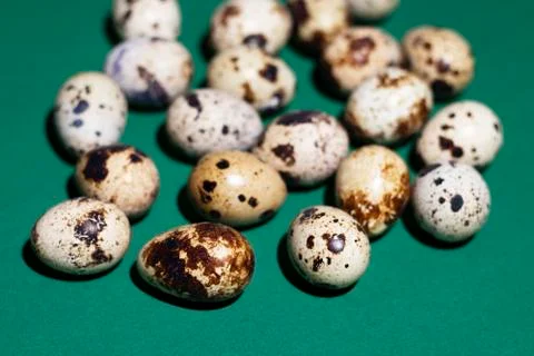Quail eggs randomly lie on a deep green background Stock Photos