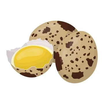 Quail eggs. Raw eggs in a shell. Vector illustration Stock Illustration