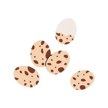Quail eggs. Raw organic egg farm product, healthy diet food Stock Illustration