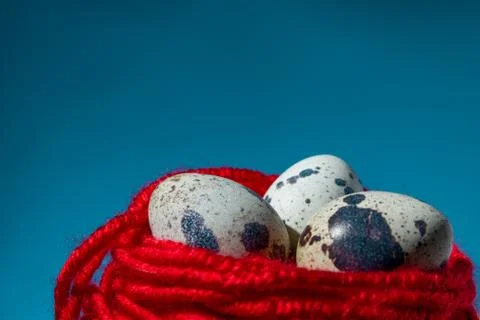 Quail eggs in red thread blue background, close up, copy space Stock Photos