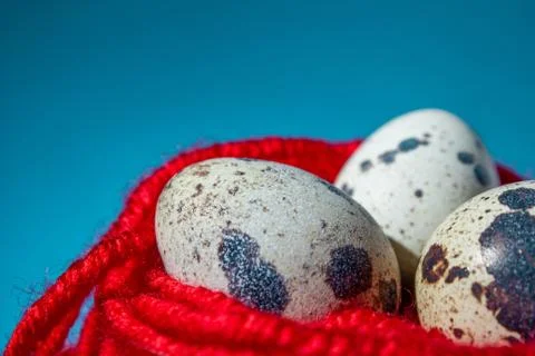 Quail eggs in red thread blue background, close up, copy space Stock Photos