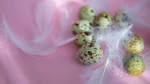 Quail eggs roll and knock on each other. Stock Footage 122988565