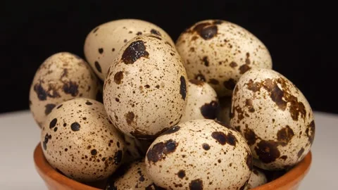 Quail eggs rotates on dark background, close-up shot Stock Footage 310737831