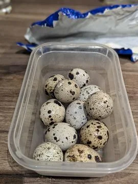 Quail Eggs With Rustic Setting. Fresh Quail Eggs Nestled In Plastic Contain.. Stock Photos