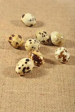 Quail eggs in a sacking background Stock Photos