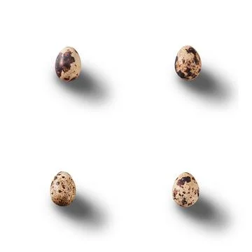 Quail eggs seamless pattern, eggs isolated on white background Foto stock