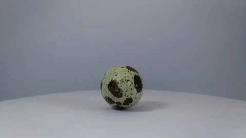 Quail eggs with shell Stock Footage 329623636