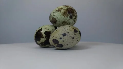 Quail eggs with shell5 Stock Footage 329623697