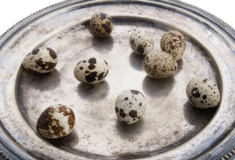 Quail eggs on silver plate Stock Photos