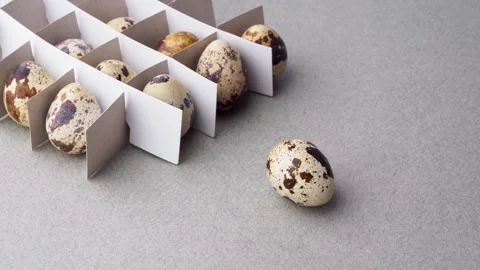 Quail eggs stand in a grid on a gray background, one of them is moving, close-up Stock Footage 151036257