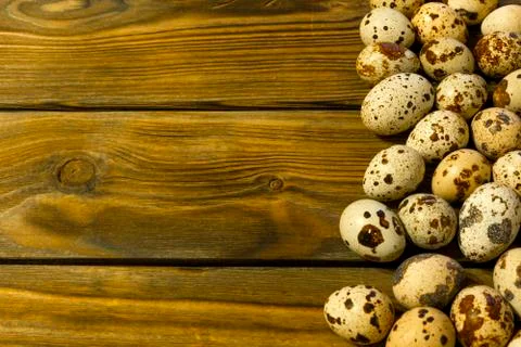Quail eggs on the table. Copy-space. Stock Photos