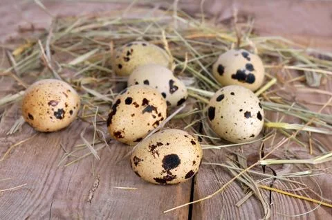 Quail eggs on table Foto stock