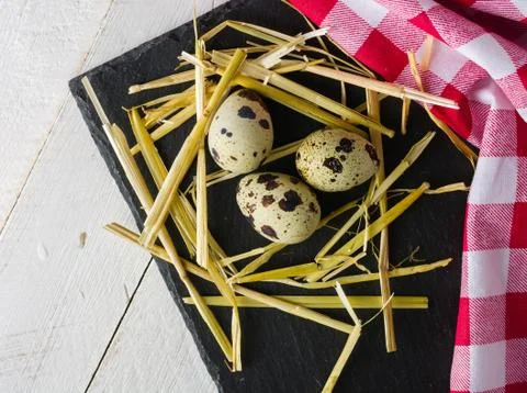 Quail eggs on the table. Spotted shell. Vitamin breakfast. Stock-Fotos