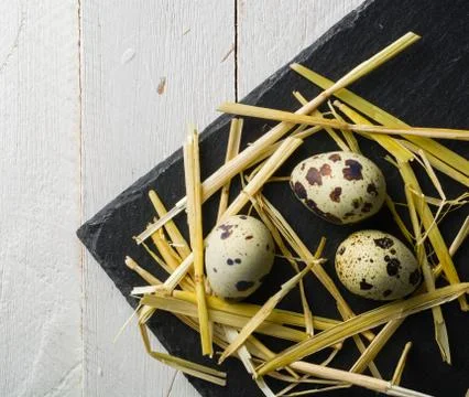 Quail eggs on the table. Spotted shell. Vitamin breakfast Foto stock