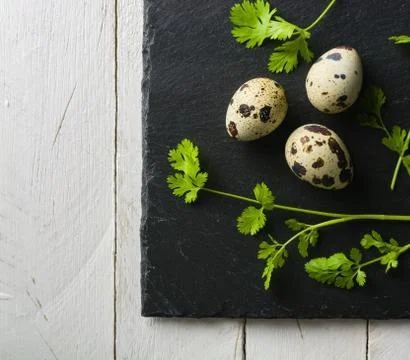 Quail eggs on the table. Spotted shell. Vitamin breakfast Stock Photos