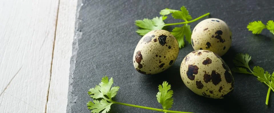 Quail eggs on the table. Spotted shell. Vitamin breakfast Stock Photos