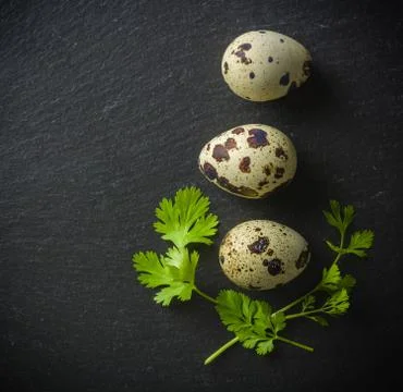 Quail eggs on the table. Spotted shell. Vitamin breakfast Stock Photos