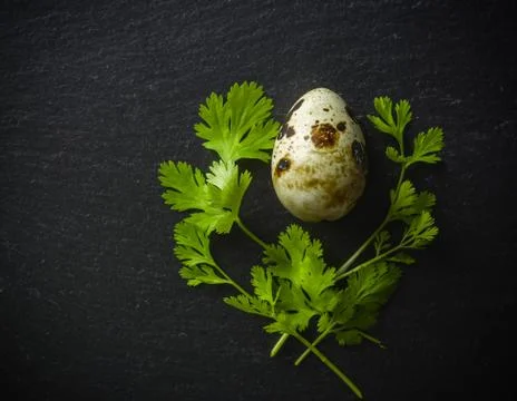 Quail eggs on the table. Spotted shell. Vitamin breakfast Stock Photos