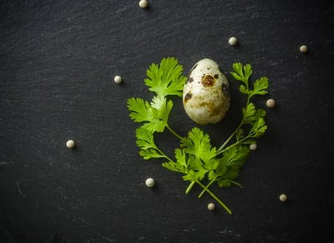 Quail eggs on the table. Spotted shell. Vitamin breakfast Stock Photos
