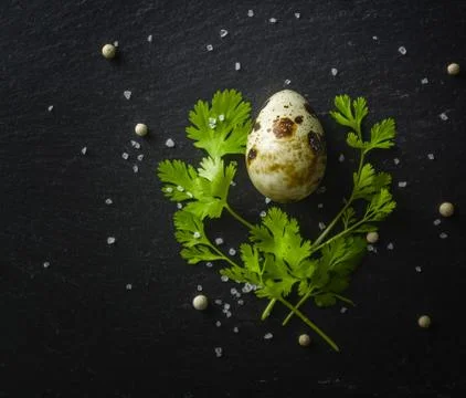 Quail eggs on the table. Spotted shell. Vitamin breakfast Stock Photos
