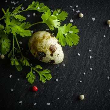 Quail eggs on the table. Spotted shell. Vitamin breakfast Stock Photos