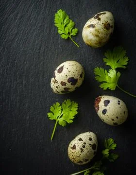 Quail eggs on the table. Spotted shell. Vitamin breakfast Stock Photos