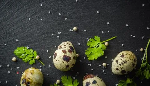 Quail eggs on the table. Spotted shell. Vitamin breakfast Stock Photos
