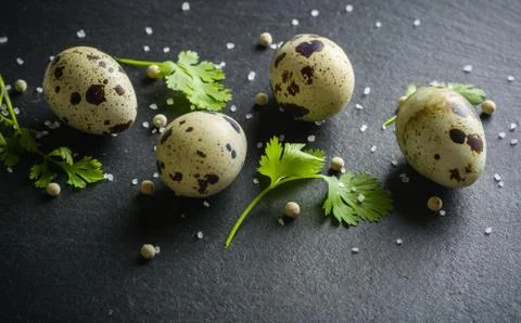 Quail eggs on the table. Spotted shell. Vitamin breakfast Stock Photos