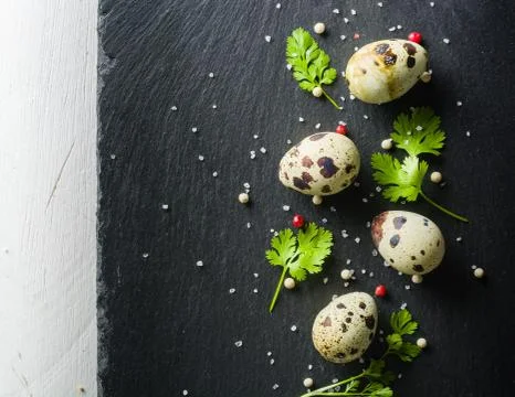 Quail eggs on the table. Spotted shell. Vitamin breakfast Stock Photos