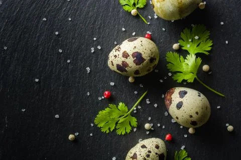 Quail eggs on the table. Spotted shell. Vitamin breakfast Stock Photos