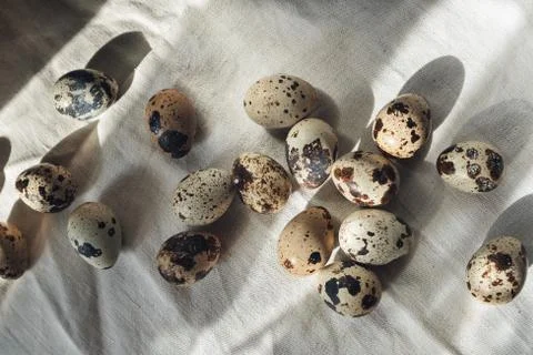 Quail eggs on tablecloths Stock Photos