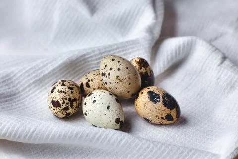 Quail eggs on tablecloths Stock Photos