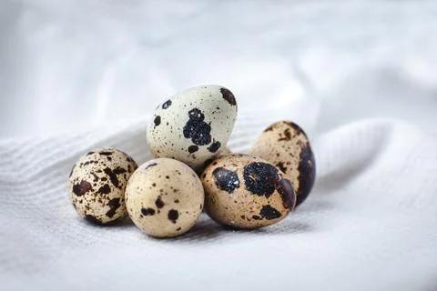 Quail eggs on tablecloths Stock Photos