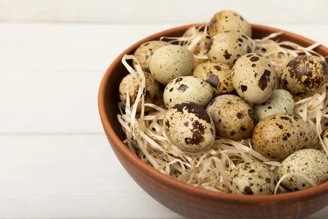 Quail eggs on  texture background Stock Photos