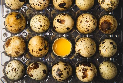 Quail eggs on  texture background. Foto stock
