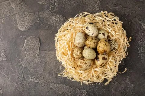 Quail eggs on  texture background. Stock Photos