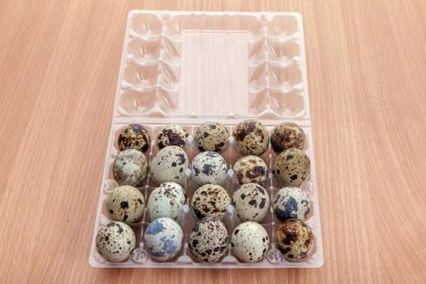 Quail eggs in transparent plastic container on wooden table Stock Photos