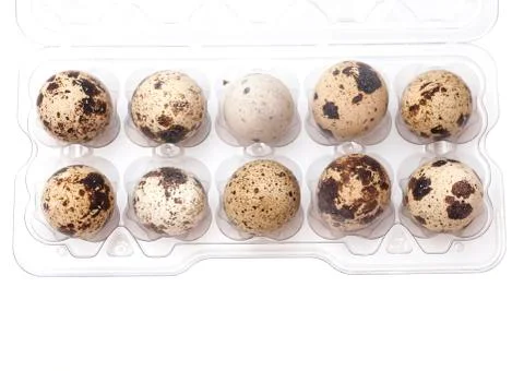 Quail eggs in transparent plastic container isolated on white background Stock-Fotos