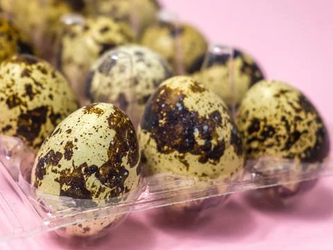 Quail eggs in a transparent plastic container on pink background Stock Photos
