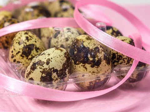 Quail eggs in a transparent plastic container on pink background Stock Photos