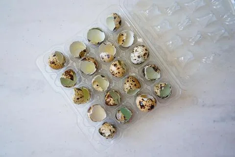 Quail eggs in a transparent plastic container on white background Stock Photos