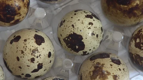Quail eggs in the tray close up rotation. Stock Footage 89700796