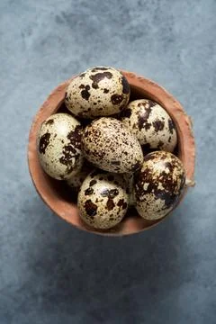 Quail eggs view Фото