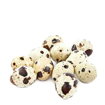 Quail eggs on white background. Stock Photos