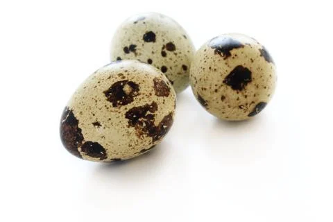 Quail eggs on white background Foto stock