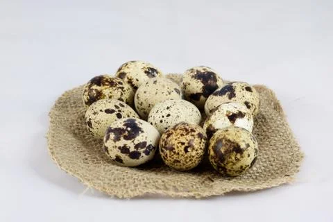 Quail eggs on a white isolated background in a mold Stock Photos