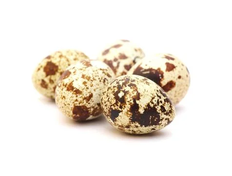 Quail eggs on white Stock Photos