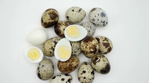Quail eggs on white rotating. Vidéo 229241056
